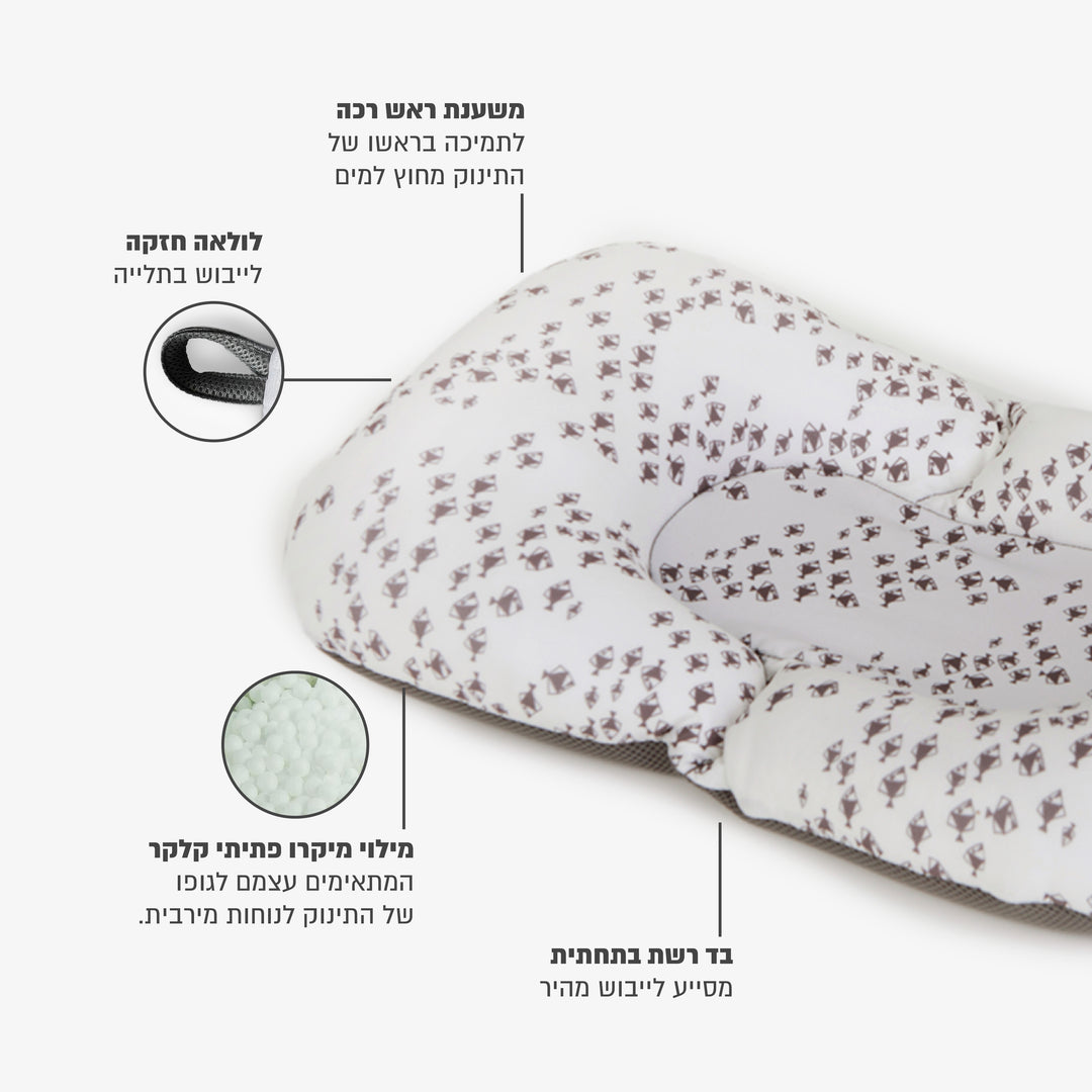 פוף צוף דגים אפור על לבן