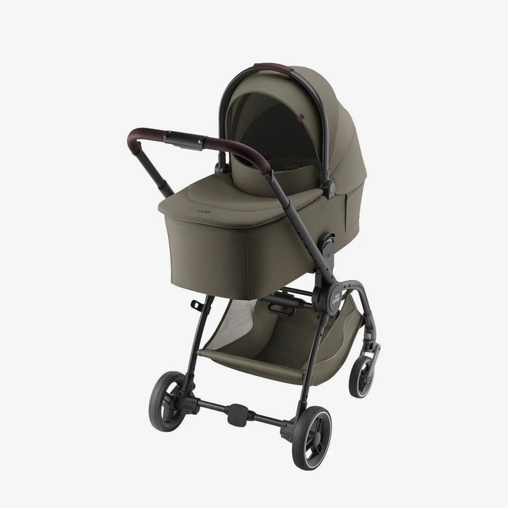 שלד ריו ירוק