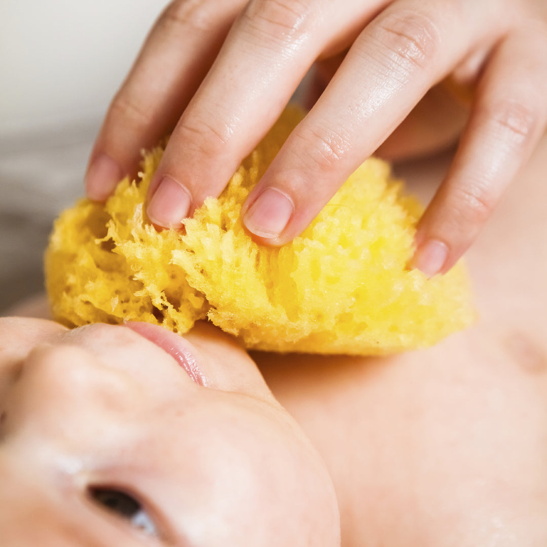 ספוג ים טבעי