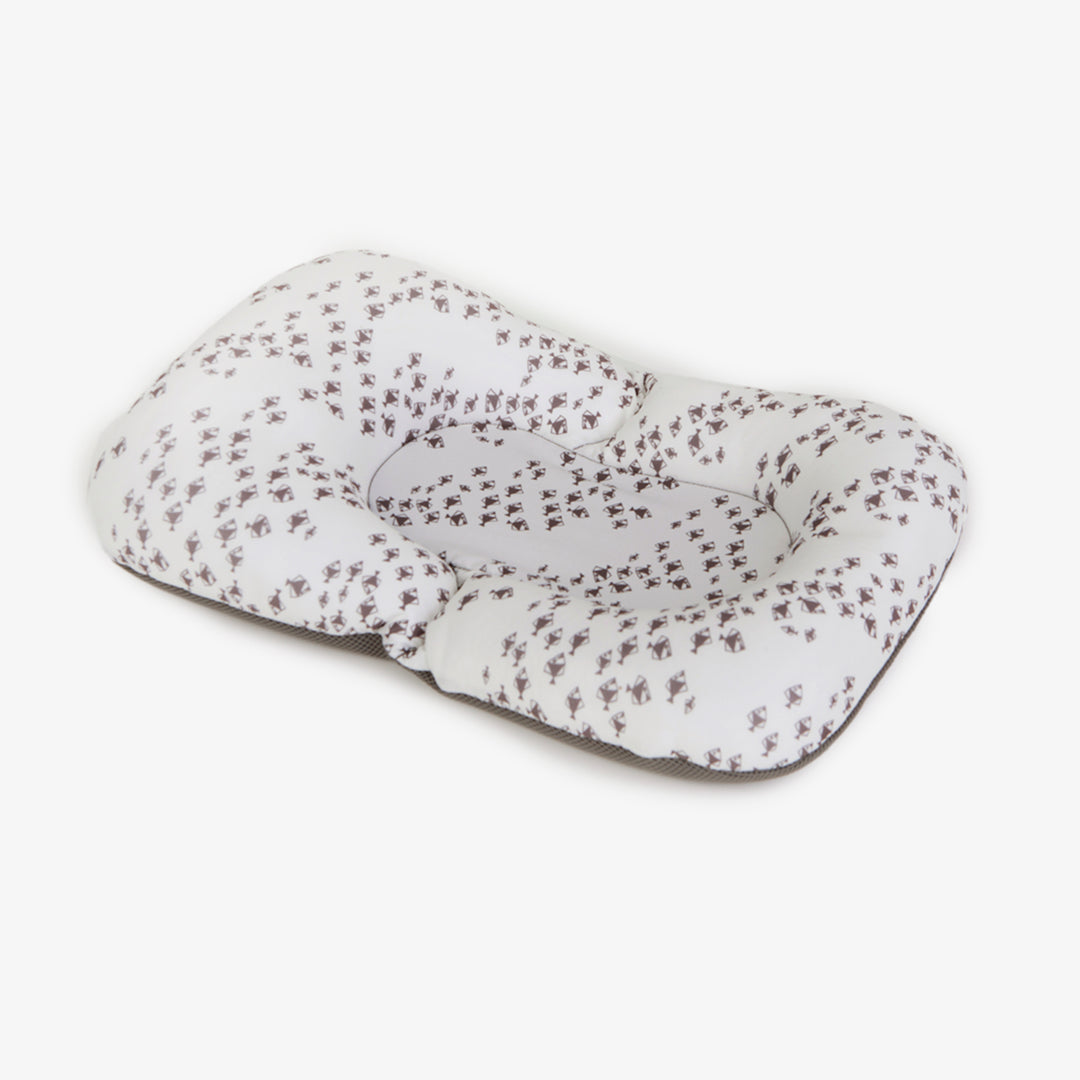 פוף צוף דגים אפור על לבן