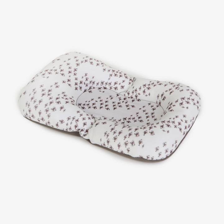 פוף צוף דגים אפור על לבן