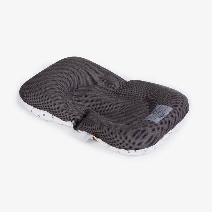 פוף צוף עיניים אפור על לבן