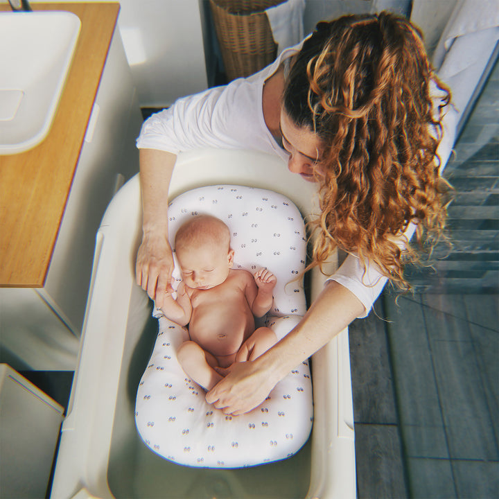 פוף צוף עיניים אפור על לבן