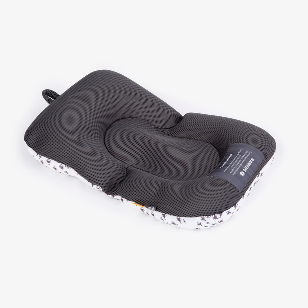 פוף צוף דגים אפור על לבן