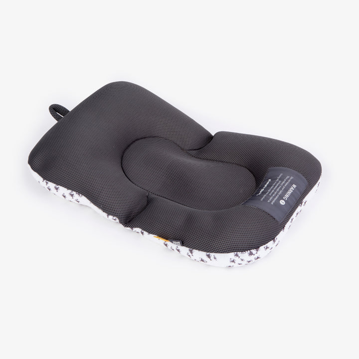 פוף צוף דגים אפור על לבן