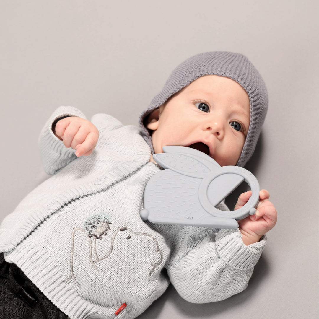 נשכן סיליקון ארנב תכלת