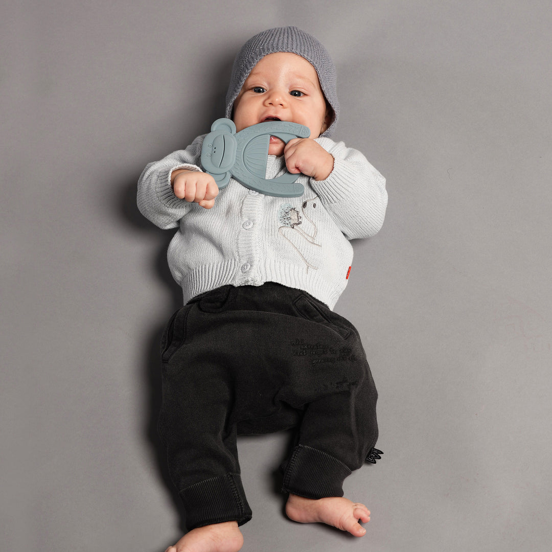 נשכן סיליקון קוף כחול