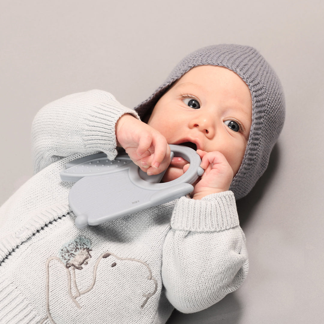 נשכן סיליקון ארנב תכלת