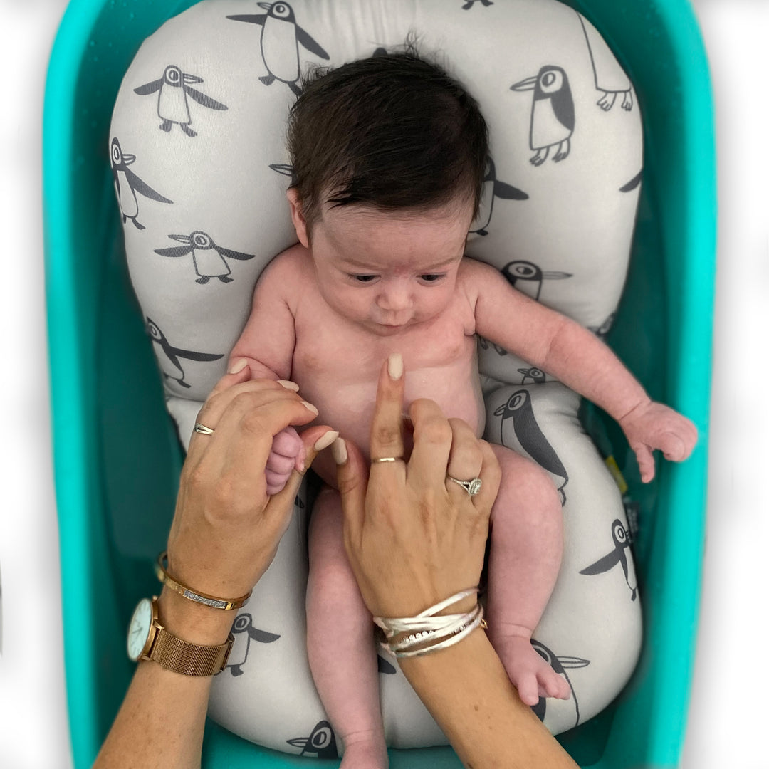 פוף צוף פינגווין אפור בז'