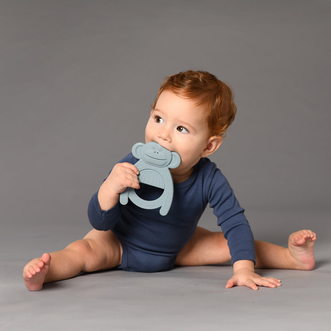 נשכן סיליקון קוף כחול