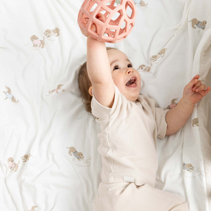 סט  מצעים למיטת תינוק גורים