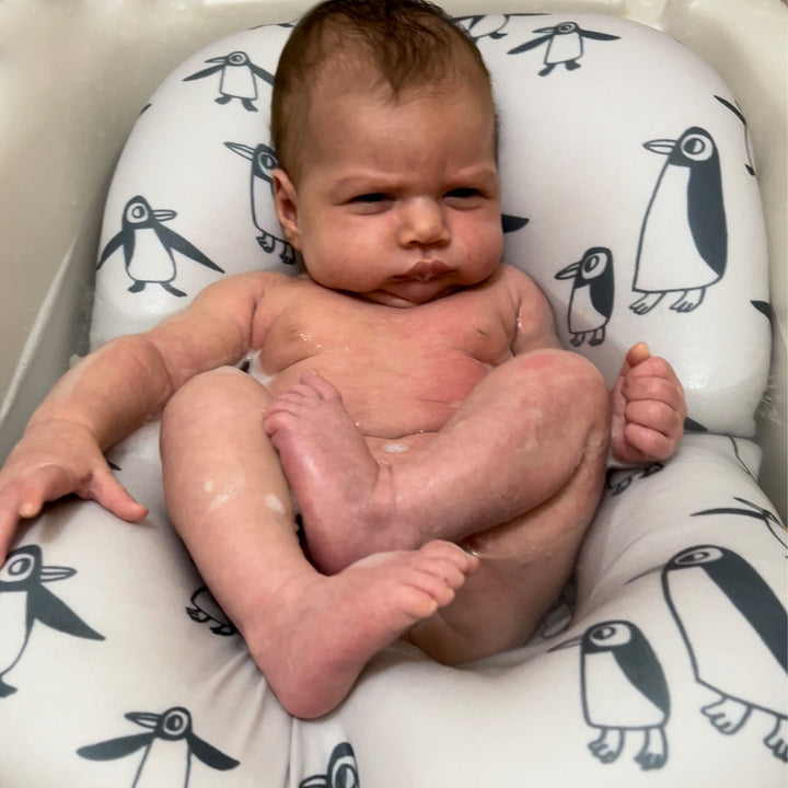 פוף צוף פינגווין אפור בז'