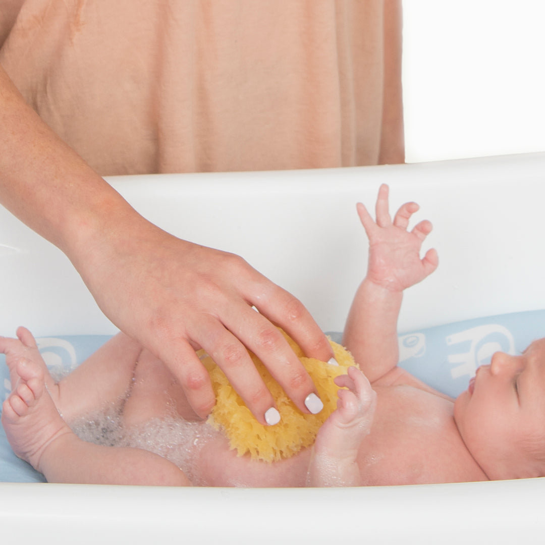 ספוג ים טבעי