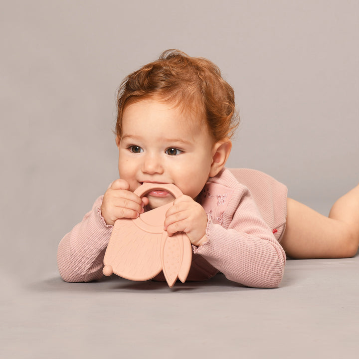 נשכן סיליקון ארנב ורוד