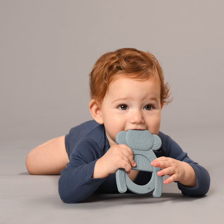 נשכן סיליקון קוף כחול