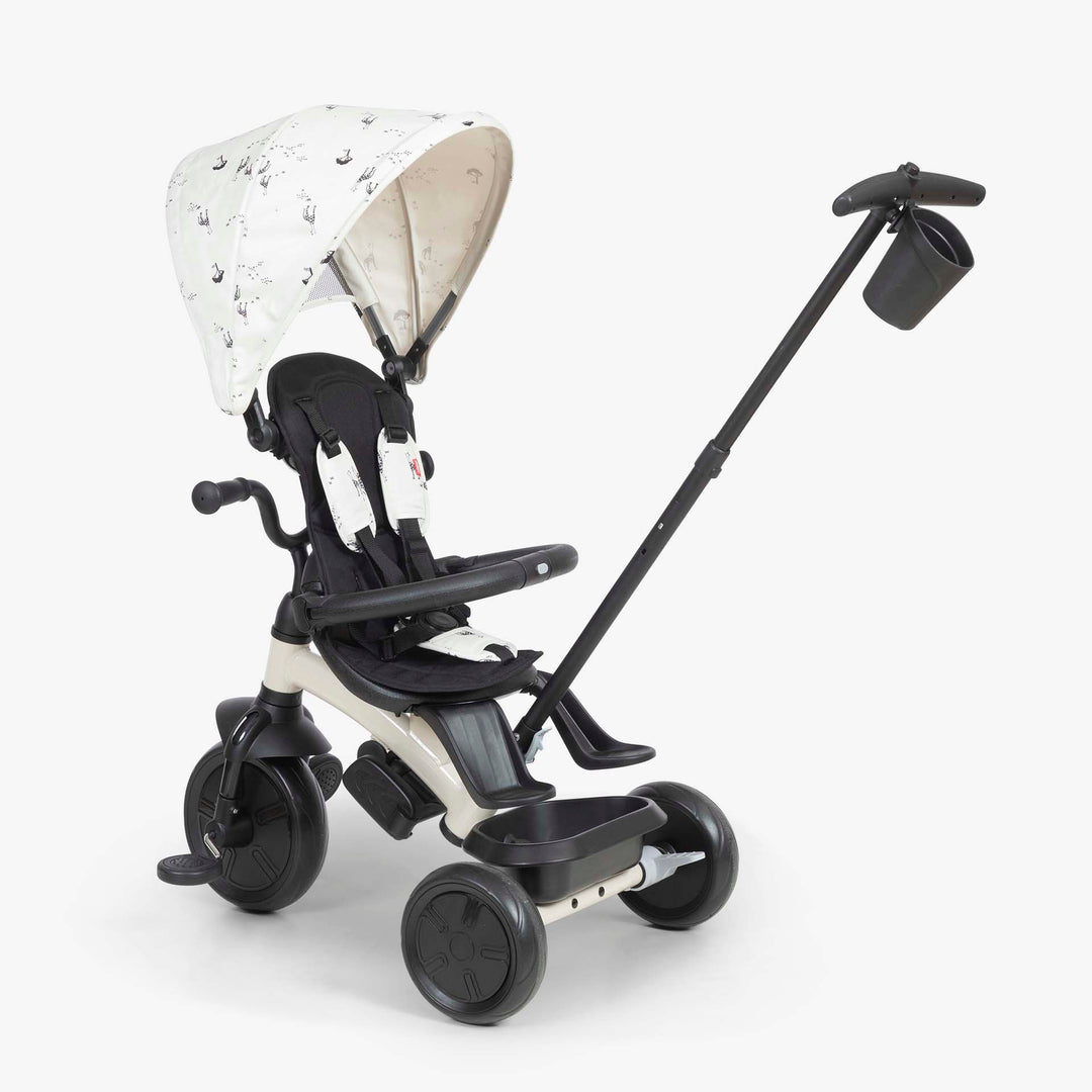 תלת אופן דו כיווני בז'