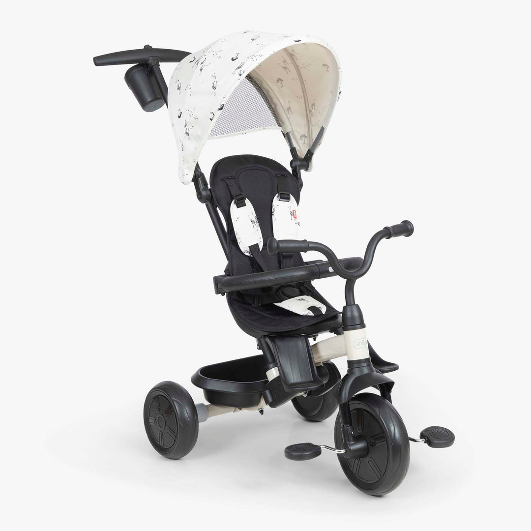 תלת אופן דו כיווני בז'