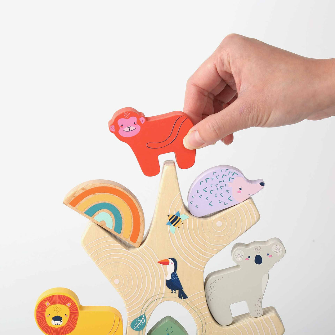 שיווי משקל חיות מעץ