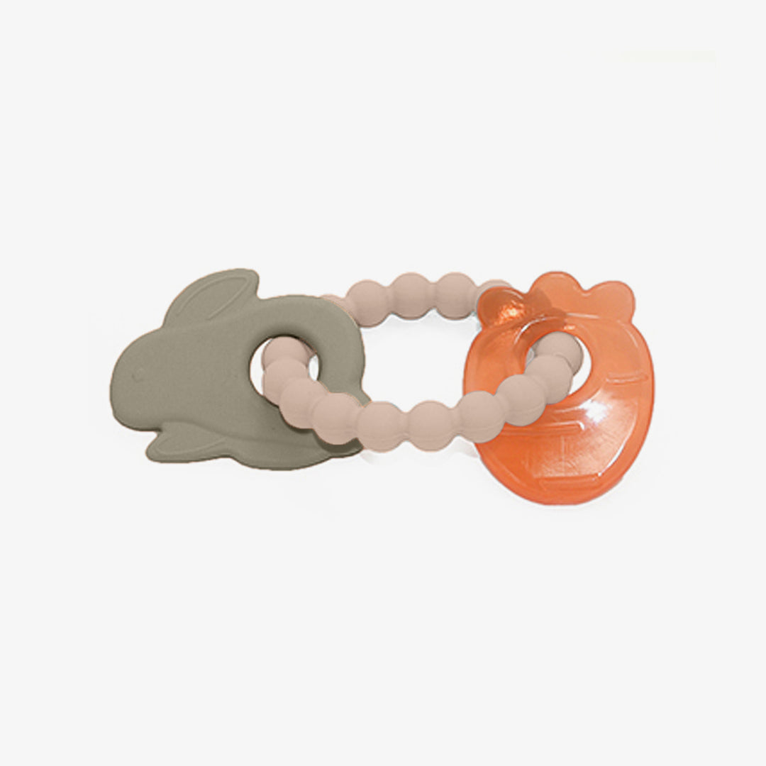 נשכן ארנב וגזר