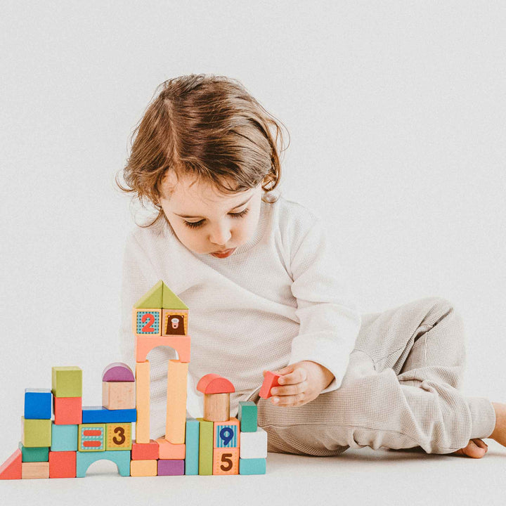 דלי 50 קוביות עץ מספרים וחיות