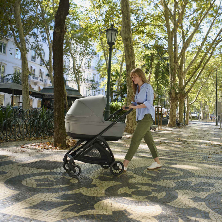 שלד אלקטה 25 כחול/אפור