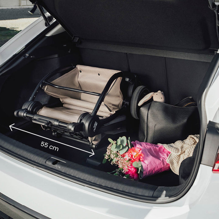 שלד ריו ירוק