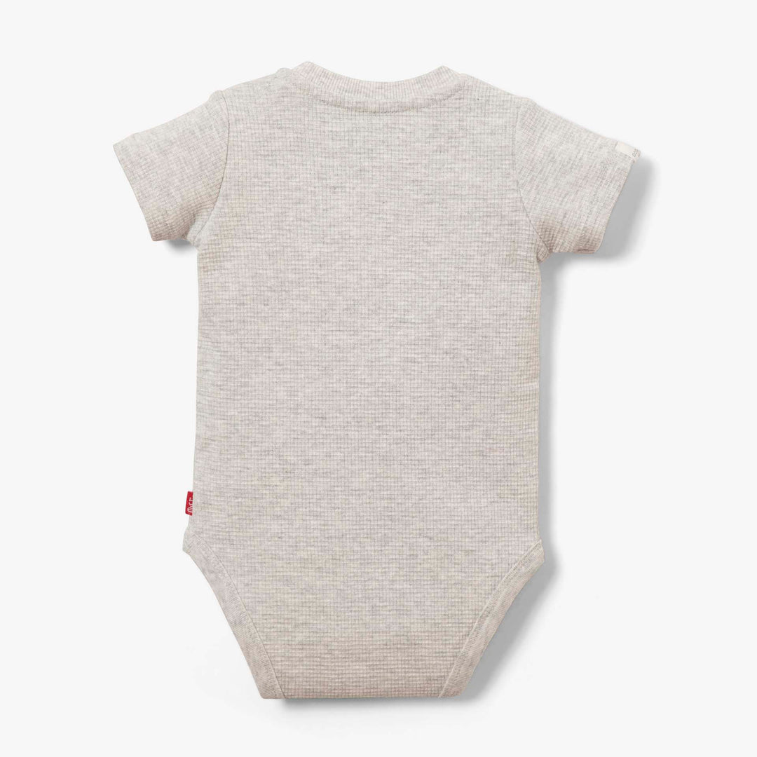 בגד גוף איריס