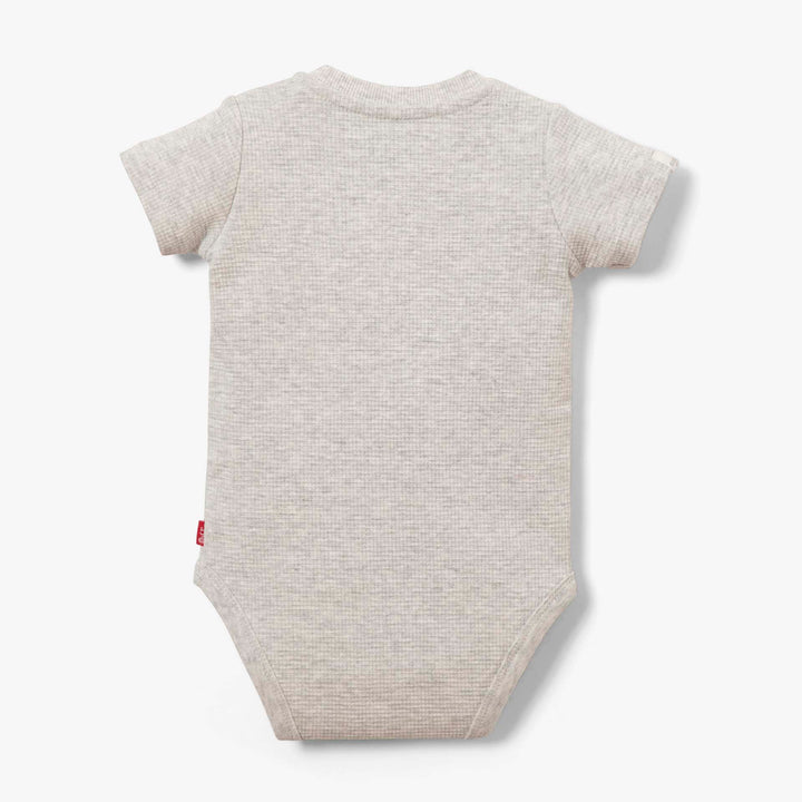 בגד גוף איריס