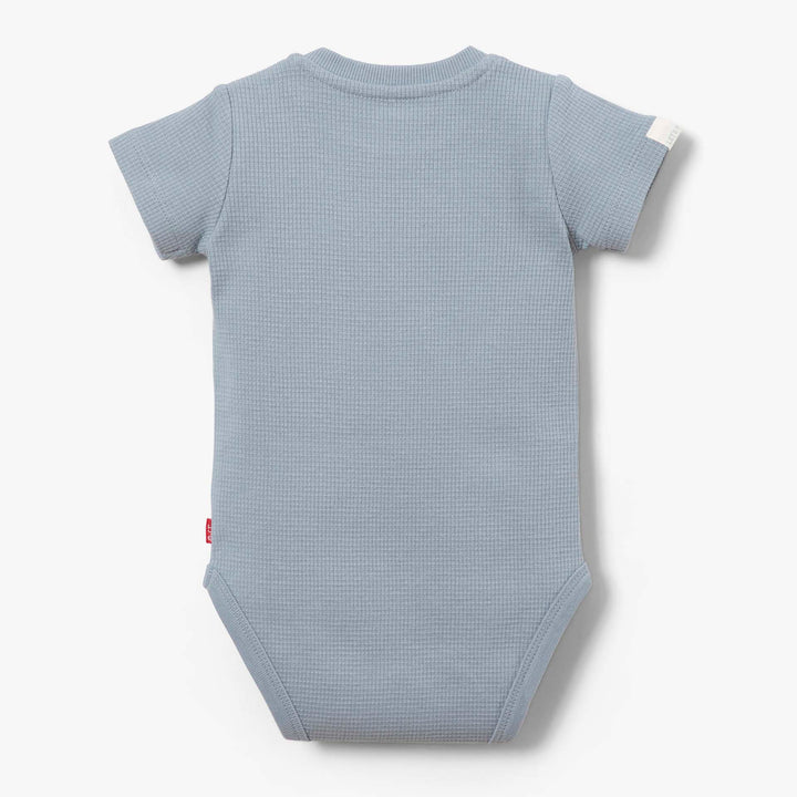 בגד גוף איריס