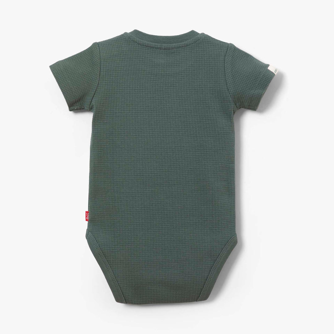 בגד גוף איריס