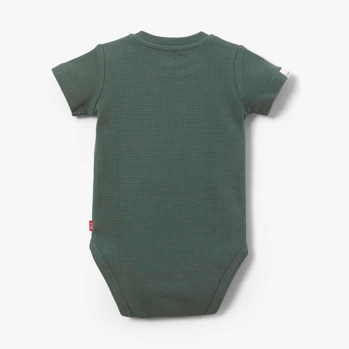 בגד גוף איריס