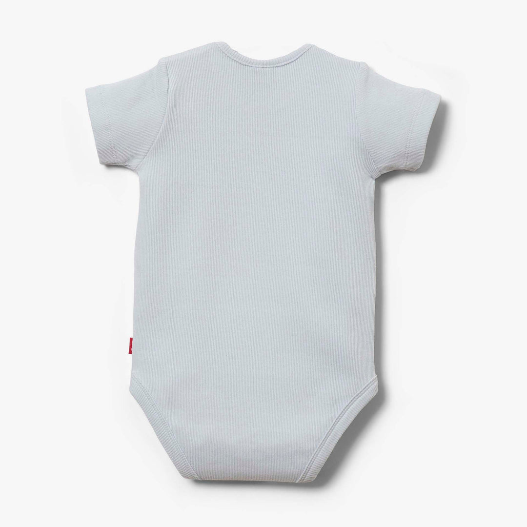 בגד גוף איריס