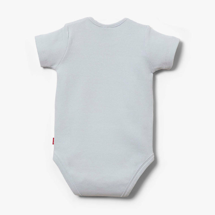 בגד גוף איריס