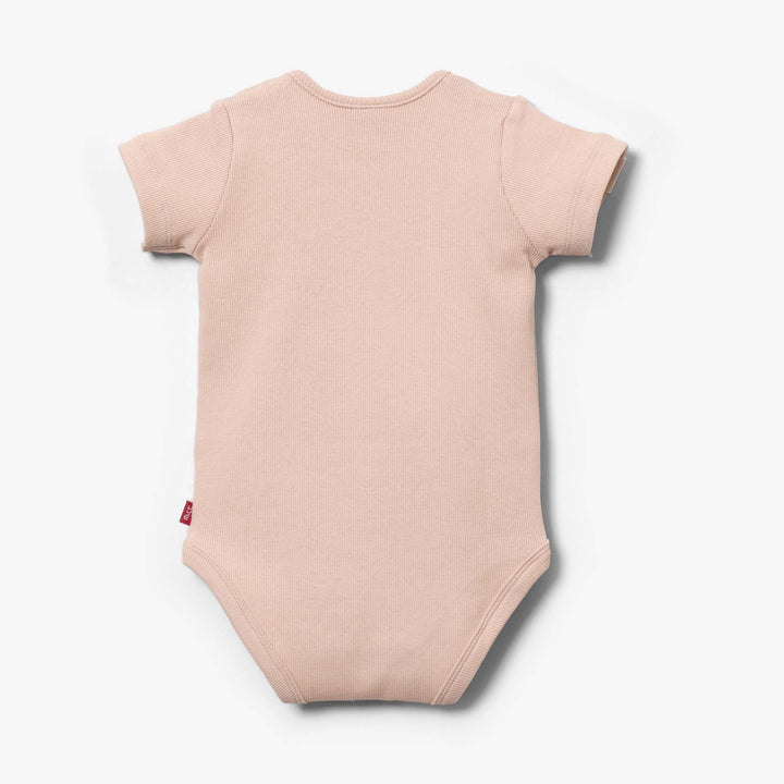 בגד גוף איריס