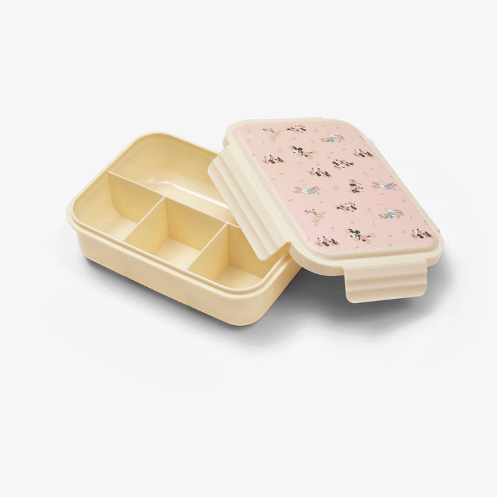 קופסת אוכל מיני