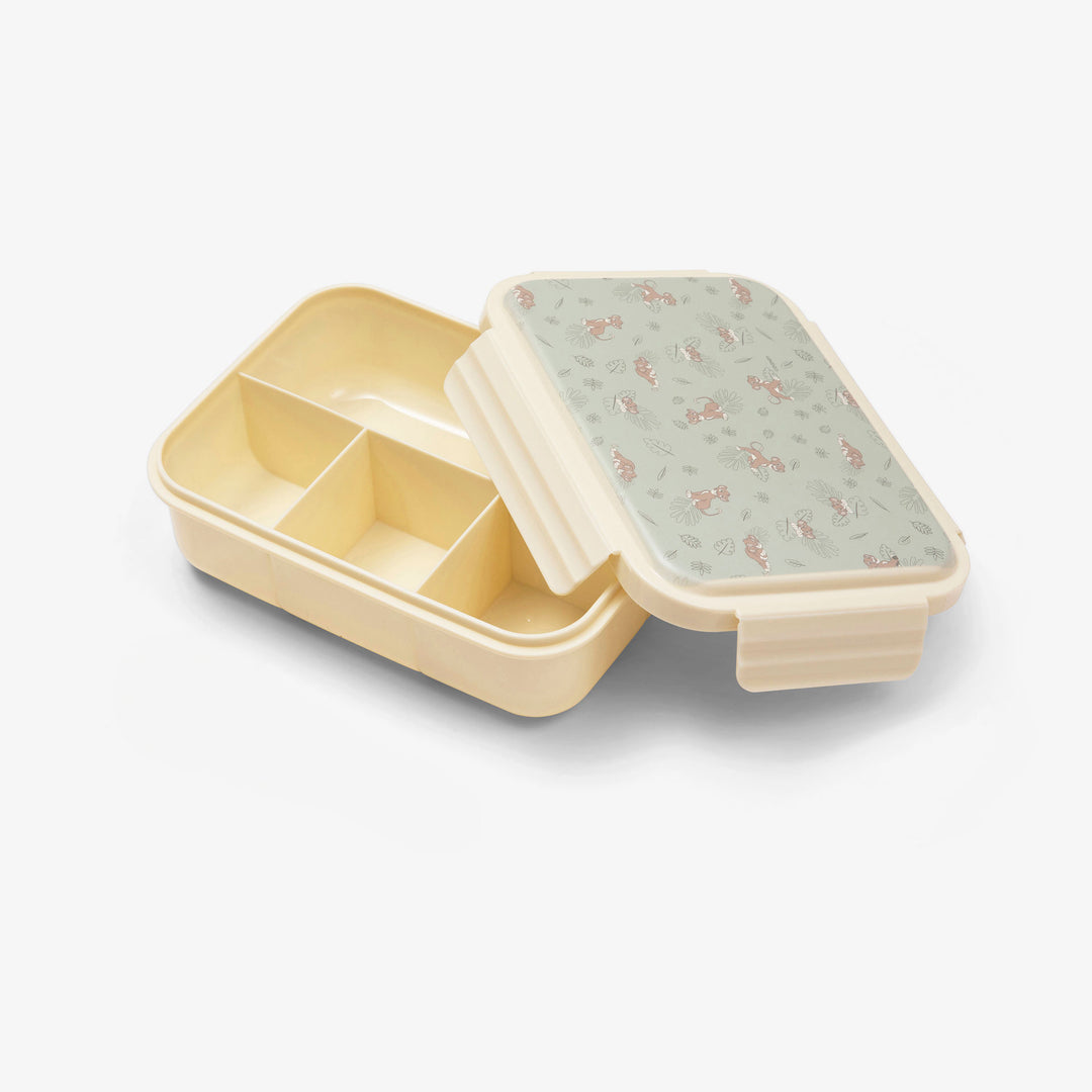 קופסת אוכל סימבה