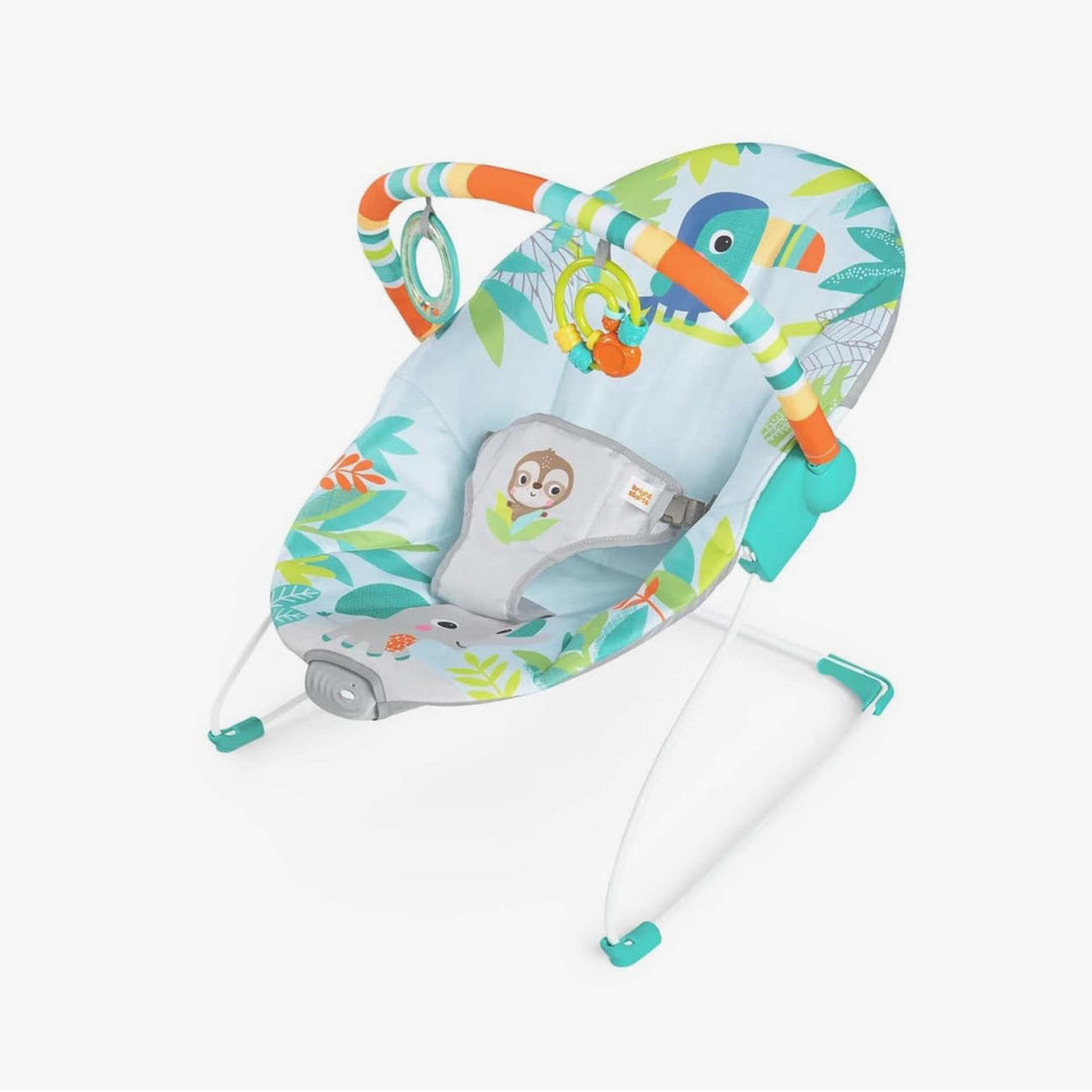 טרמפולינה יער הגשם