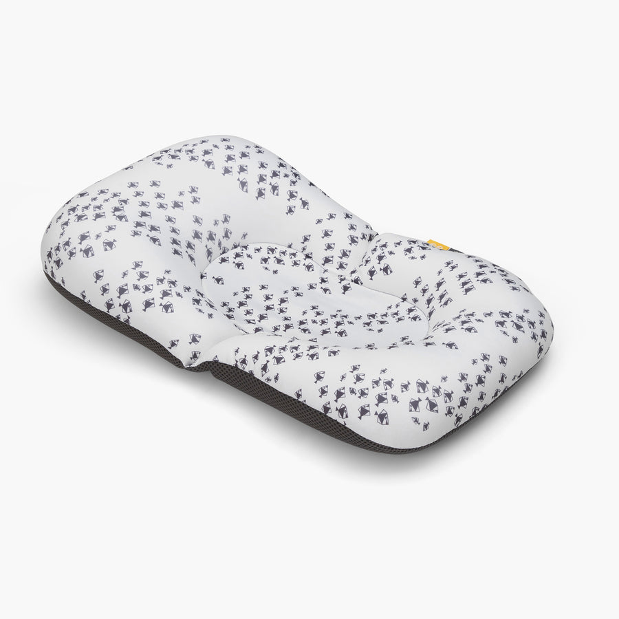 פוף צוף דגים אפור על לבן