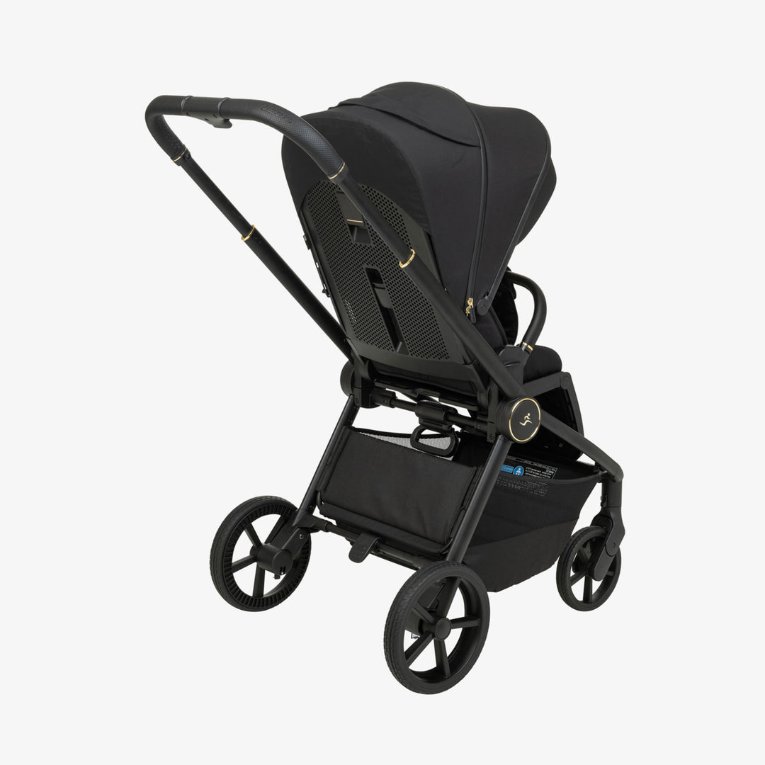 עגלת סיאלו 25 XL שחור זהב/שחור+שחור