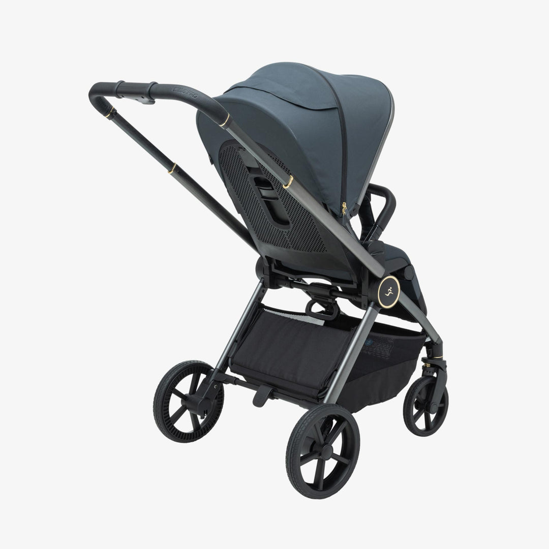 עגלת סיאלו 25 PRO אפור זהב/שחור+גרפיט