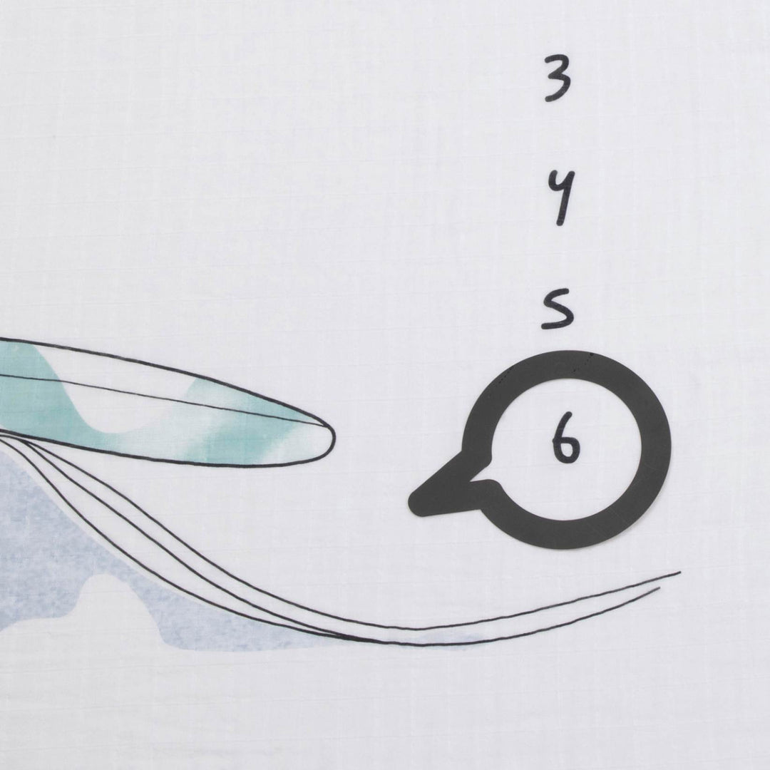 חיתול טטרא גדול חודשים גלשן