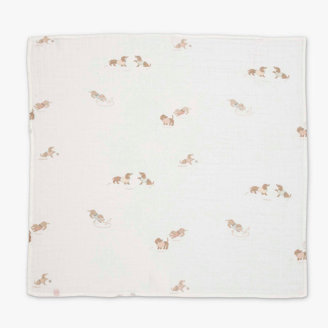 רביעיית חיתולי טטרא גורים