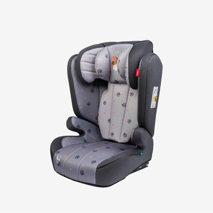 בוסטר דלתא i נמר