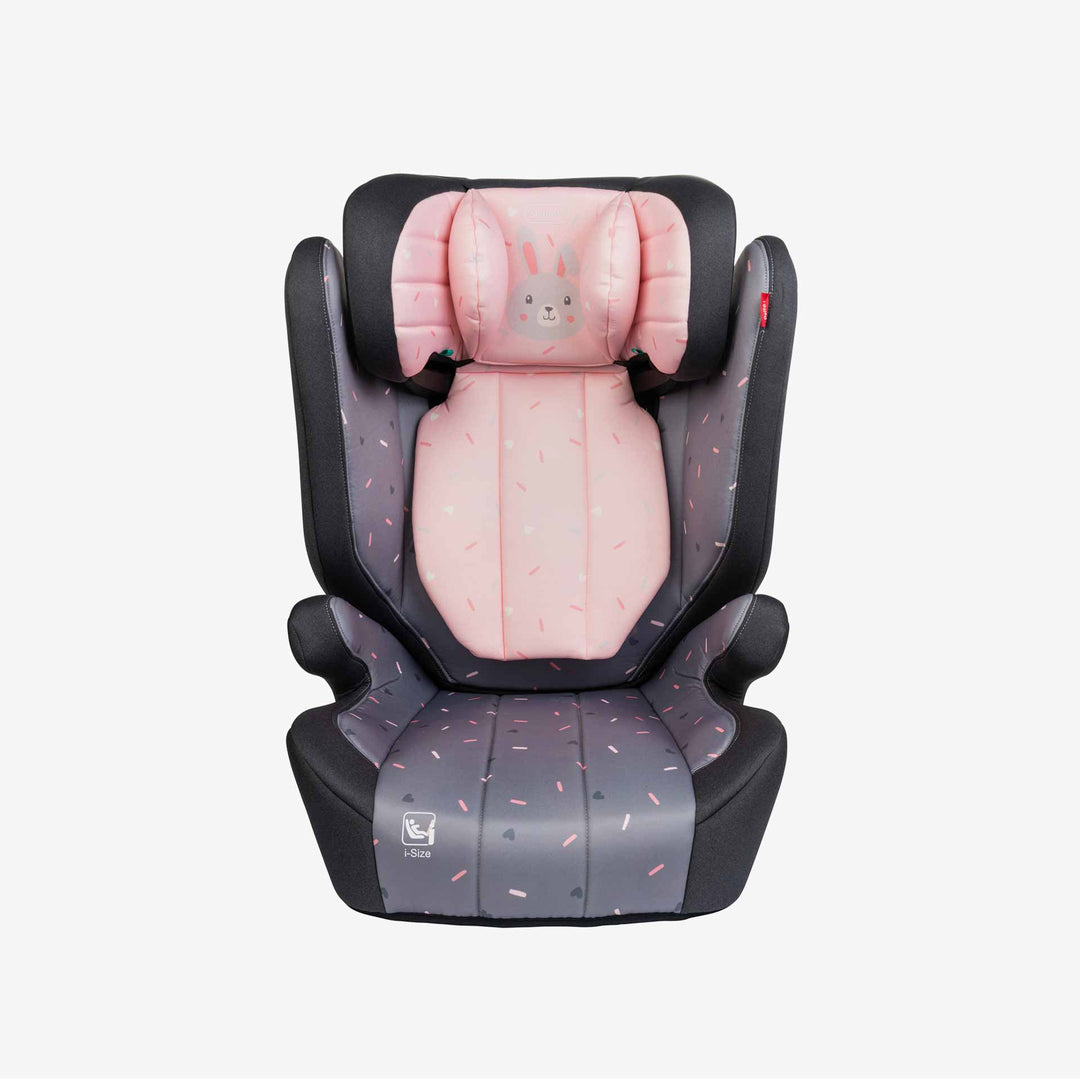 בוסטר דלתא i ארנב