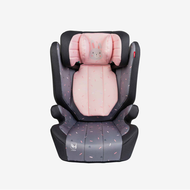 בוסטר דלתא i ארנב