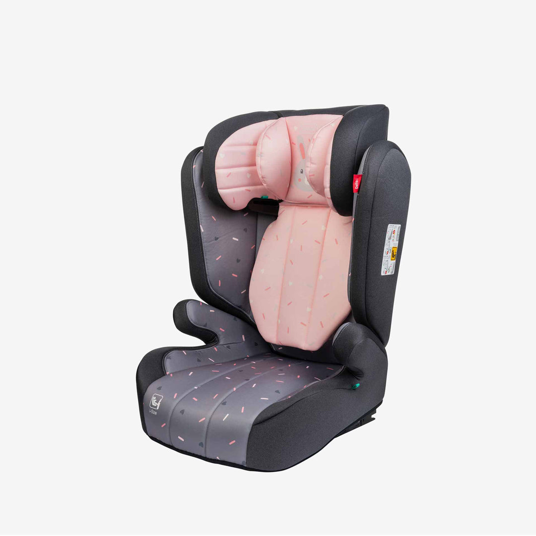 בוסטר דלתא i ארנב