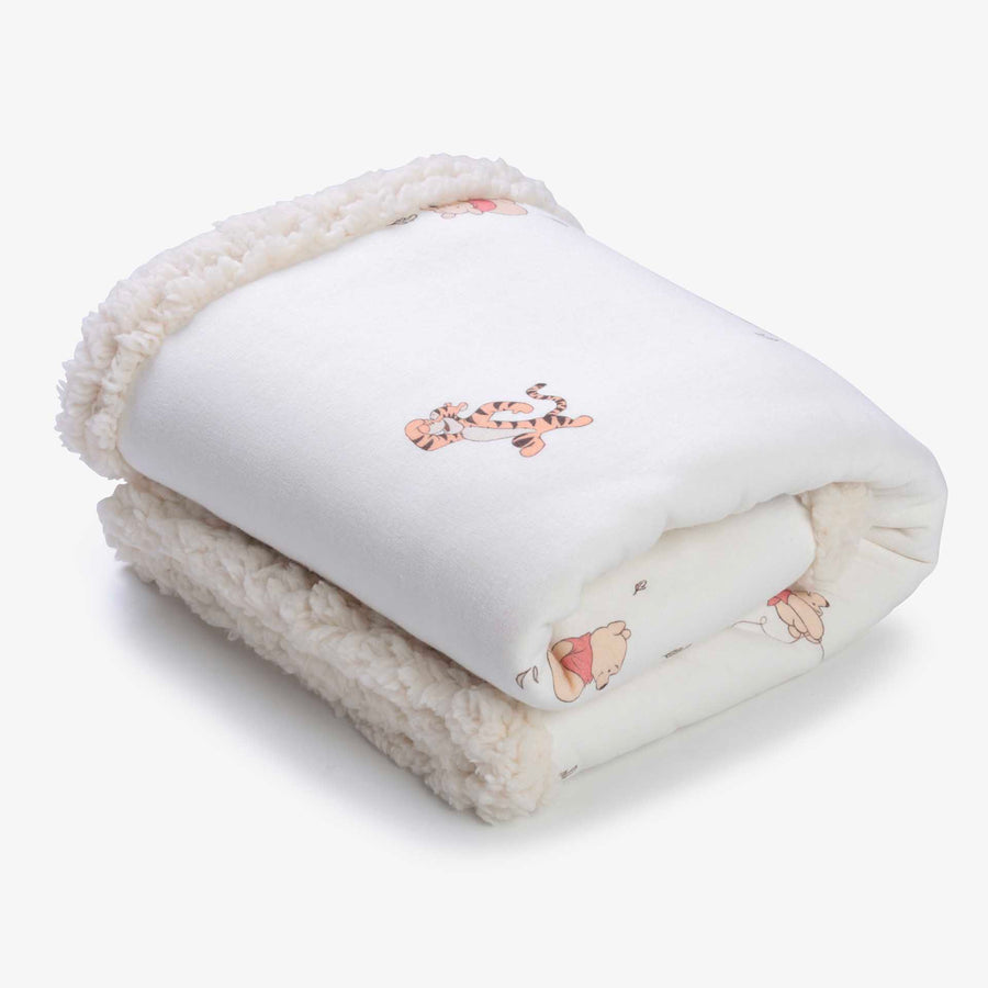 שמיכת פוטר ופרווה דו-צדדית לעגלה פו הדב