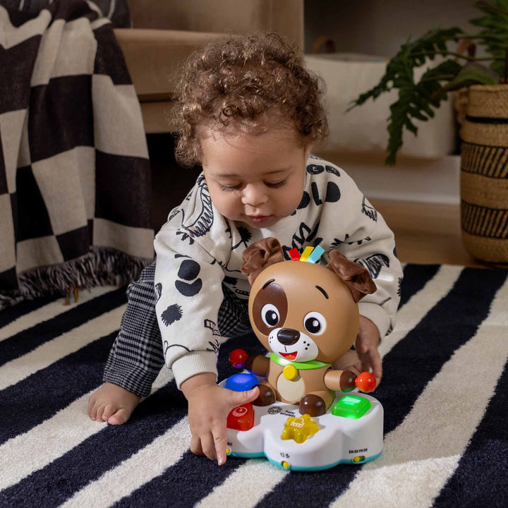 דין התוף שחק ולמד