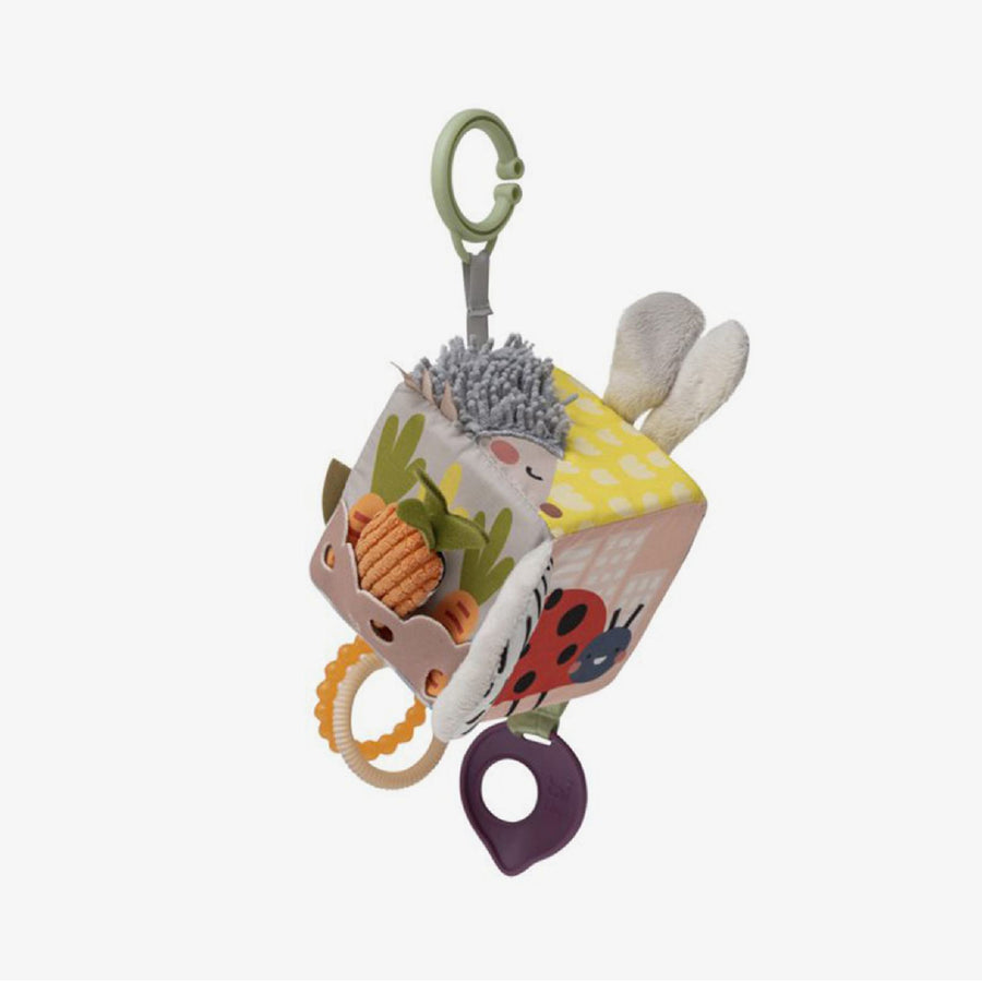 קוביית התפתחות גינה אורבנית