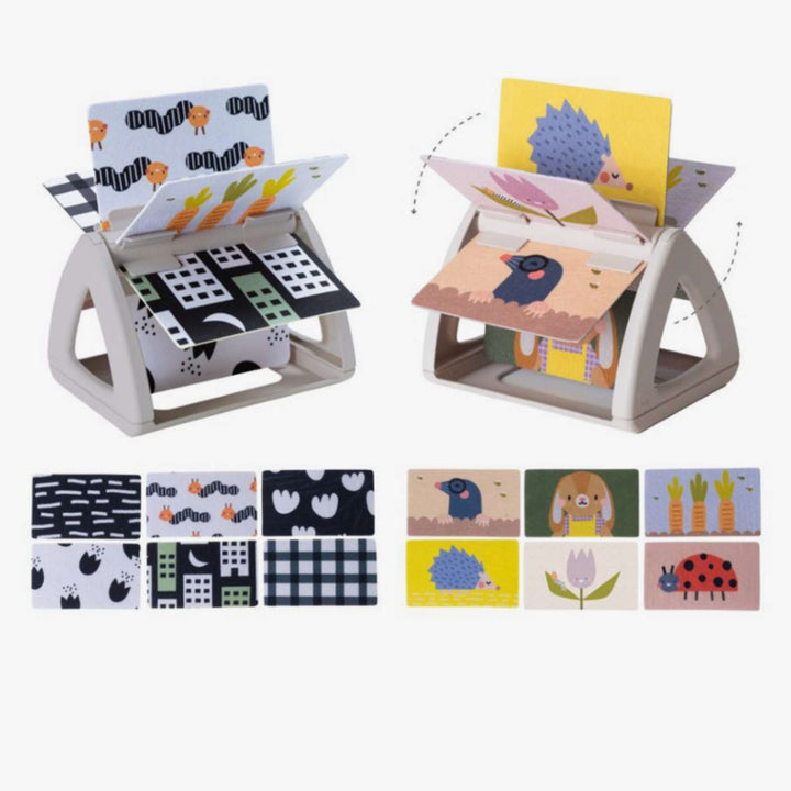 ספר פעילות זמן בטן גינה אורבנית